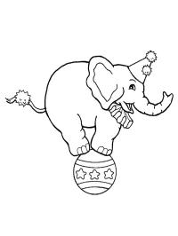 Elefante de circo sobre una pelota.