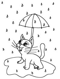 Gato bajo la lluvia