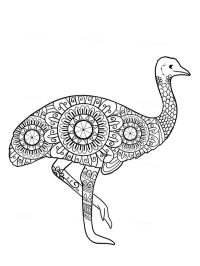 Mandala del avestruz