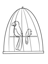 Pájaros en jaula