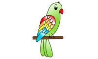 Cómo dibujar un loro