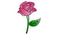 Cómo dibujar una rosa
