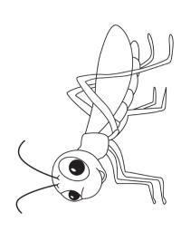 Saltamontes