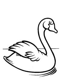 Cisne