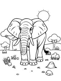 Elefante africano