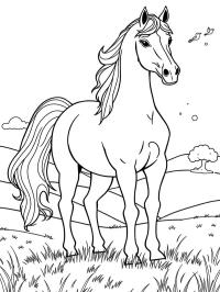 Caballo andaluz