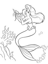 Ariel con una flor
