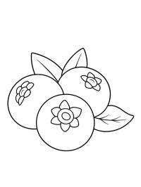 Arándanos