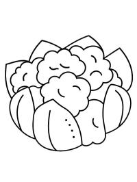 Coliflor