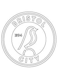 Bristol City Football Club