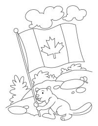 Castor sostiene la bandera canadiense