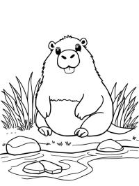 Capibara cerca del agua