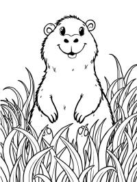 Capibara en la hierba