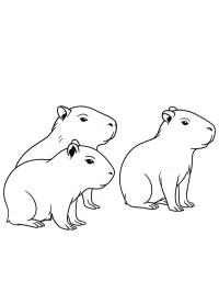 Bebés de carpincho