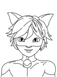 Cat Noir - Miraculous