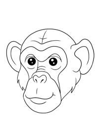 Cara de chimpancé