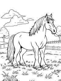 Caballo Clydesdale