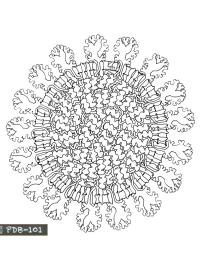 Coronavirus mandala