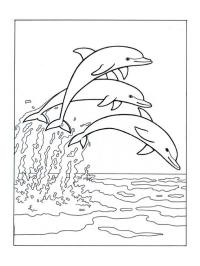 Delfines saltando en el oceano
