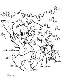 Donald y Katrine