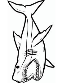 Tiburón peligroso
