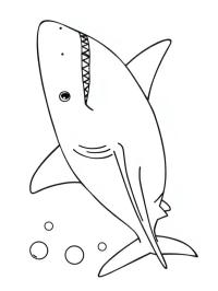 Tiburón blanco