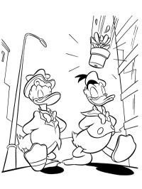 Narciso Bello y Donald Duck