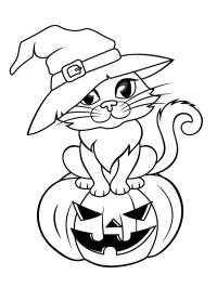 Gato de Halloween con sombrero de bruja