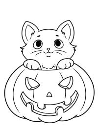 Gato de Halloween
