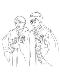 Harry Potter y Ron Weasley