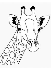 Cabeza de jirafa