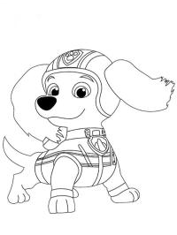 Salchicha Liberty PAW Patrol