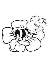 Willie la abeja duerme