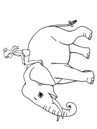 Niña sobre un elefante