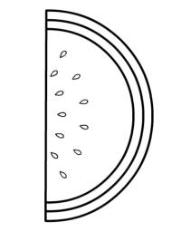 Melón