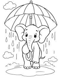 Elefante con paraguas bajo la lluvia