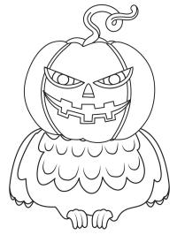 Calabaza búho