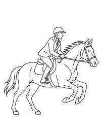 Jinete y caballo al galope