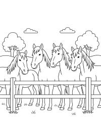 Manada de caballos detrás de una valla