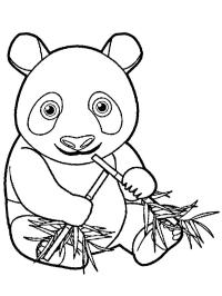 Panda come bambú