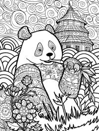 Panda para adultos