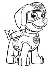 Zuma (La Patrulla Canina)