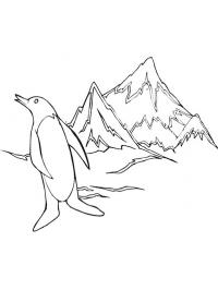 Pingüino en el Polo Sur