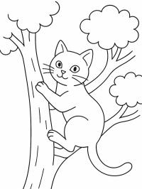 Gato trepando a un árbol
