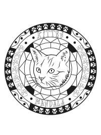 mandala del gato