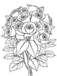 Ramo de rosas para adultos