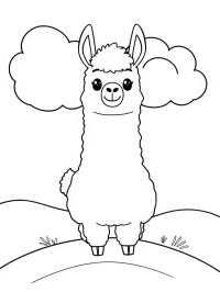 Alpaca adorable