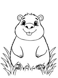 Capibara adorable