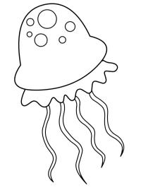 linda medusa
