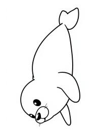 Foca adorable
